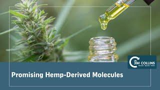 CBC, CBG and CBN: More Promising Hemp-Derived Molecules - Dr. Jim Collins