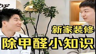 【董宇辉】新家装修除甲醛小知识