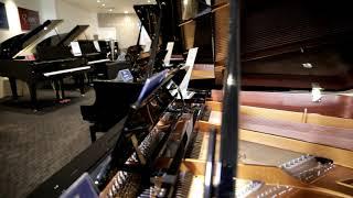 Steinway Gallery Sydney VIP Sale