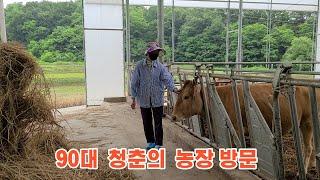 #50대청춘#시골농장#90대#기도                                      90대청춘 농장 방문 하셔서 소 잘크라고 기도하신다