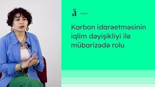 Karbon idarəetməsinin iqlim dəyişikliyi ilə mübarizədə rolu | Ayan Şamçıyeva