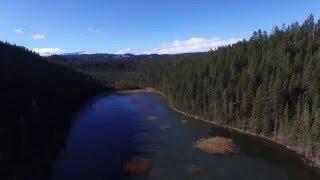 Tumalo Lake Luxury Cabin Vacation Rentals (Bend Oregon) Introduction