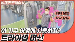 [중구FM트레이닝]  트라이셉 머신│팔(삼두근) 기구 사용 방법