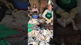 Three Ladies Selling chickens #shorts #shortvideos #threeladies #chickens #sellers