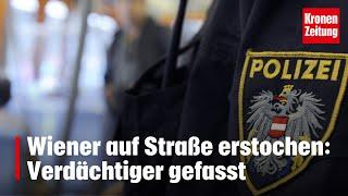 Wiener auf Straße erstochen: Verdächtiger gefasst | krone.at