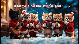 The Purrfect Christmas Kitties #catloverscommunity #catlovers