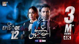 Aye Ishq e Junoon Episode 12 | Ushna Shah | Sheheryar Munawar | 17 Dec 2024 (Eng Sub) | ARY Digital