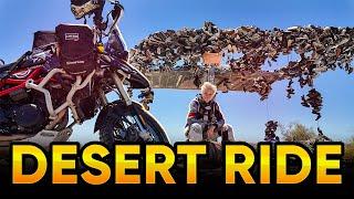 Desert Adventure in California | A Road Trip of Surprises- EP. 283