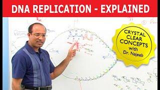 DNA Replication | RNA | Nucleotide | Cell Biology | Genetics