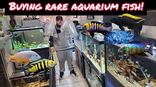 BUYING NEW RARE AQUARIUM FISH FROM LOCAL FISH SWAP!