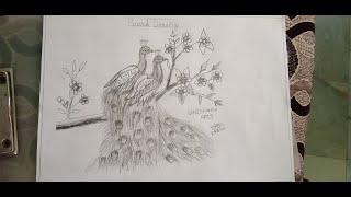 Best Peacock drawing by NISHANTH ARTS Trends