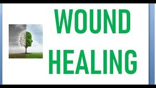 Surgery 012 Wound Healing steps phase process inflammatory proliferative remodeling injury stage