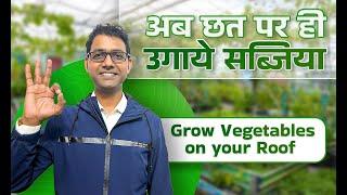 Cost and Profit estimation of 20ft×10ft Hydroponic Growbag Terrace Farm