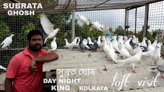 Day Night King Subrata Ghosh Pigeon Loft Visit at Kestopur - 7595813348