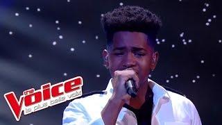 Lisandro Cuxi - « Si seulement je pouvais lui manquer » (Calogero) | The Voice 2017 | Live