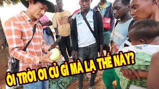 Phản ứng của người dân Angola lần đầu mua su hào || Tony Phong cuộc sống Châu Phi