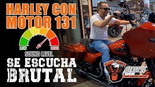 HARLEY CON MOTOR 131: TE VAN A CORRER TUS VECINOS