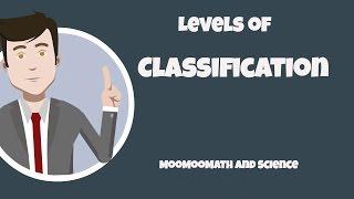 How to memorize the  levels of classification