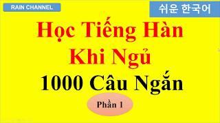 P1- Học 1000 Câu Tiếng Hàn giao tiếp Ngắn Trong khi Ngủ (1-150)- HỌc tiếng Hàn cơ bản Sơ Trung Cấp