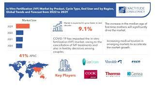 In Vitro Fertilization (IVF) Market 2023 Analysis & Growth | Exactitude Consultancy Reports