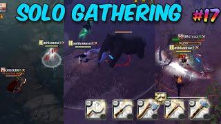 Solo Gathering in Black Zone | GATHERING SESSION #17 |  ALBION ONLINE