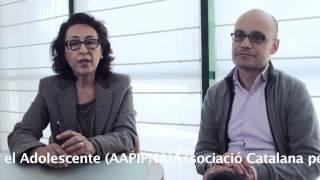 Sección Psicoterapia Psicoanalítica FEAP 2014