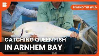 Catching Trevally and Queen Fish - Fishing The Wild - S01 EP04 - Nature Documentary