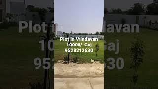 Plot in Vrindavan all facilities available #youtubeshorts #property #vrindavanproperty #plot #plots