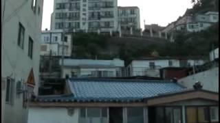 Modern Houses of Ulleungdo Island