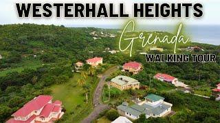 A Walk Through The Picturesque Westerhall Heights, St. David, Grenada! | Walking Vlog | Walking Tour