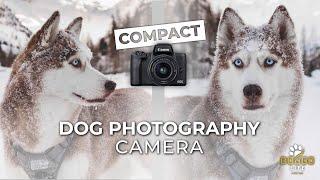 The BEST Camera for DOG Photography + BEGINNER TIPS | DOGGO LIFE