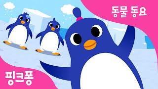 펭귄 댄스 | 동물동요 | 핑크퐁! 인기동요