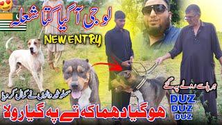 Loo Jee A Gaya Kuta Shola  Blockbuster Dog Of Samlotha People || Record Breaker Dog || Vlog