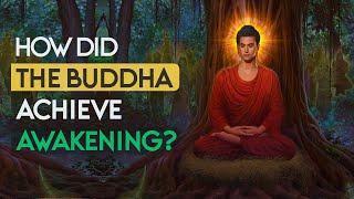 Transcendence: How Did the Buddha Achieve Awakening