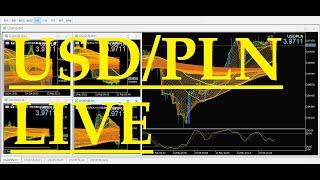 【USD/PLN】LIVE    US Dollar/ Polish Zloty  ,  Golden↑↑Indicator & Stochastic oscillator