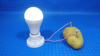 How to make free energy with potato | Simple Tech