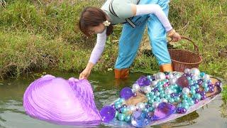 Heaven brings great blessings! The girl unexpectedly discovered a huge purple pearl treasure trove