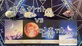 타로- 계속할까..멈출까../연애/재회기다림/이직/합격등 내가 진행하고있는것, 고민이되는 것에 대한 방향성제시