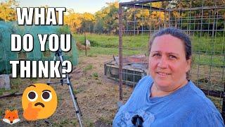 Chicken House Renovation, Unwelcome Visitor and We Have a Question for You🫵