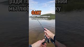 Ради таких моментов мы любим рыбалку! Чистый кайф! #поймалотпусти #рыбалка #жерех
