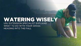 USU Extension Specialist Explains What to Do With Your Grass Heading into the Fall