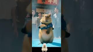 Capybara belly rubbing-japan #capybara #cute #funny #animals #カピバラさん