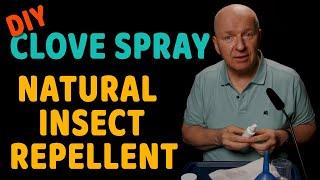 Clove Spray As An Effective Natural Insect Repellent Using Eugenol | Unintentional ASMR