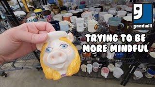 Trying to Be More Mindful - Shop Along With Me - Goodwill Thrift Store