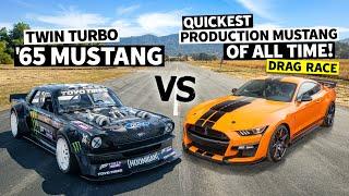 Fastest Production Mustang Ever 760hp Ford GT500 vs the 1,400hp Hoonicorn