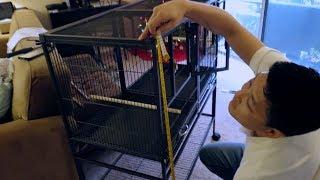 The Best Bird Cage? Prevue Pet Hampton Deluxe Divided Breeder Cage Unboxing, Set-Up & Review