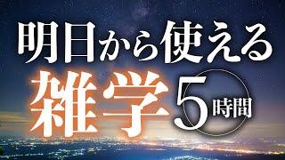 【睡眠導入】明日から使える雑学5時間【合成音声】