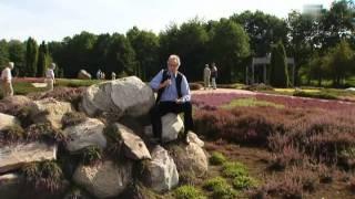 Impressionen vom Naturschutzpark Lüneburger Heide 2010