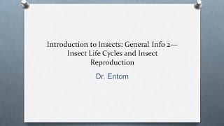 Introduction to Insects General Info 2