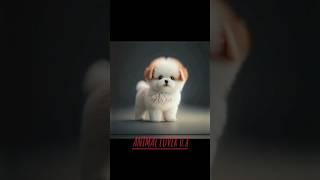 #trending before and after animal growing #ANIMAL LOVER 0.8